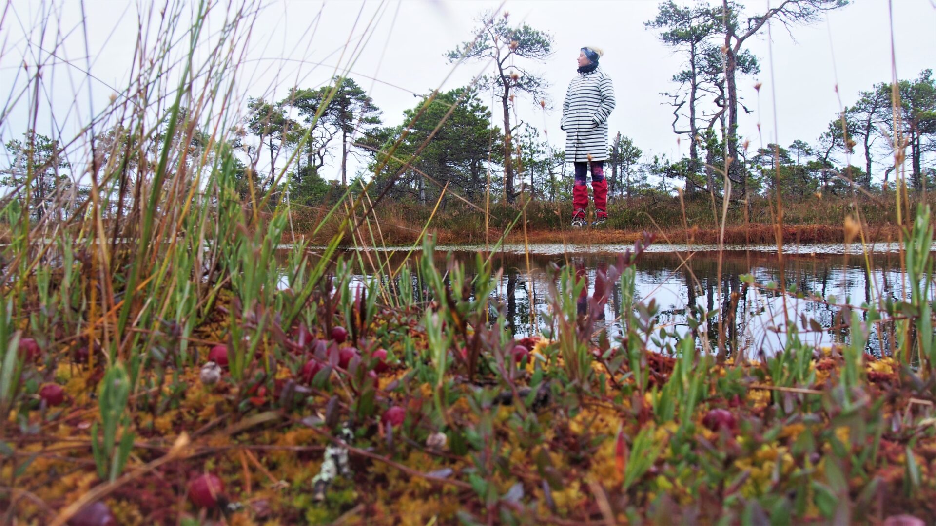 Ilmateade ja ilmaprognoos, ilm.ee ja yr.no. Nii me kerime päevast päeva ja aastast aastasse. Elu läheb, aga meil on alati vaja seda õiget ilma. Ilma õige ilmata